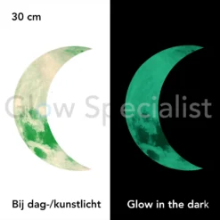 GLOW IN THE DARK HALVE MAAN - 2 MATEN