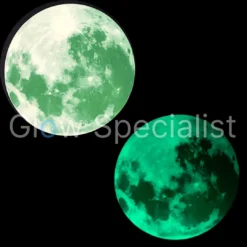 GLOW IN THE DARK MAAN STICKER - 5 CM - 5 STUKS