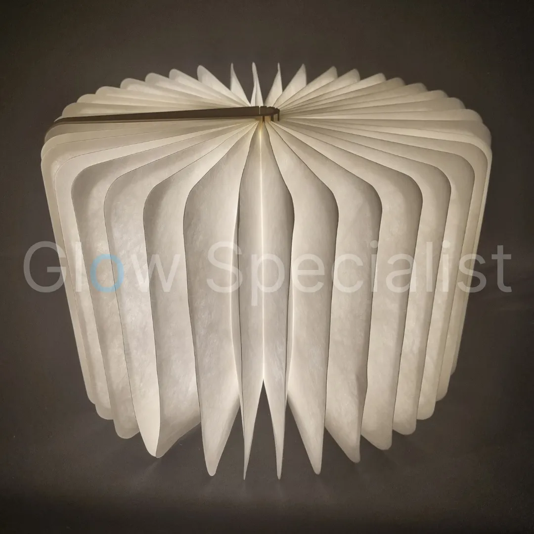 HOUTEN LED BOEK LAMP - OPLAADBAAR - LARGE - Afbeelding 7