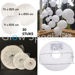 WITTE PAPIEREN LAMPIONNEN - 3 MATEN - SET VAN 30