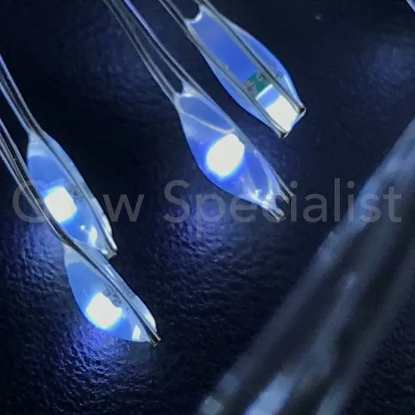 ZILVERDRAAD VERLICHTING - 40 LED - WIT - Afbeelding 9